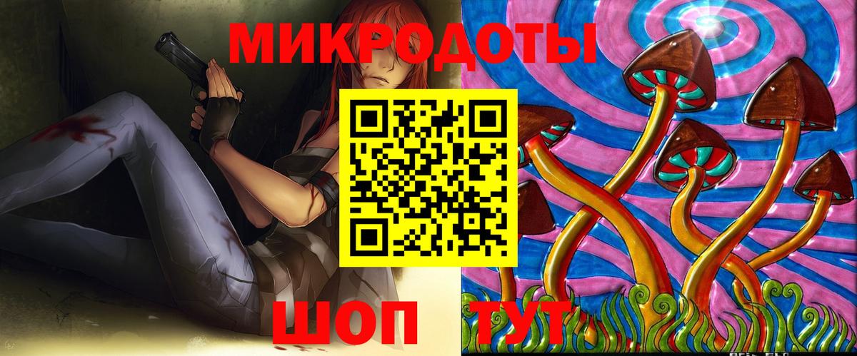Галлюциногенные грибы Psilocybine cubensis  Вход с VPN  Галлюциногенные грибы Psilocybe  Курчалой 